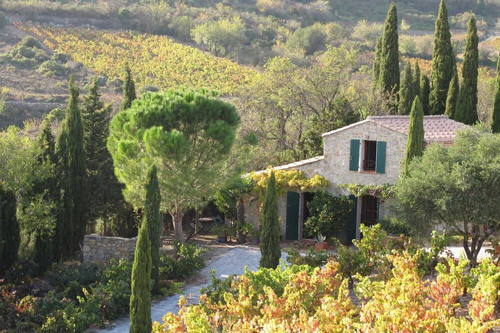 Gîte au Milieu des Vignes in Tuchan, Côte méditerranéenne (France)