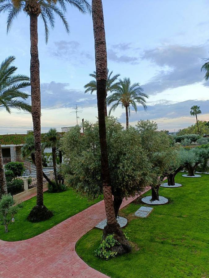 Casa rural para 16 personas, con vistas además de jardín y piscina en Elche - 3