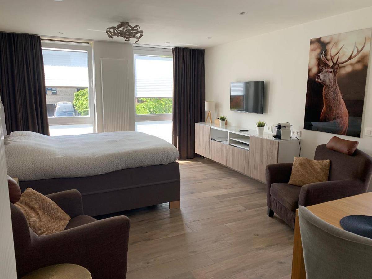 Q Studio in Herzele, Province de Flandre-Orientale