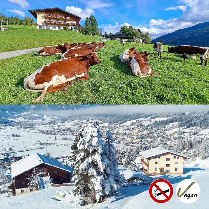 BnB für 2 Personen, mit Ausblick und Balkon sowie Garten in Radstadt