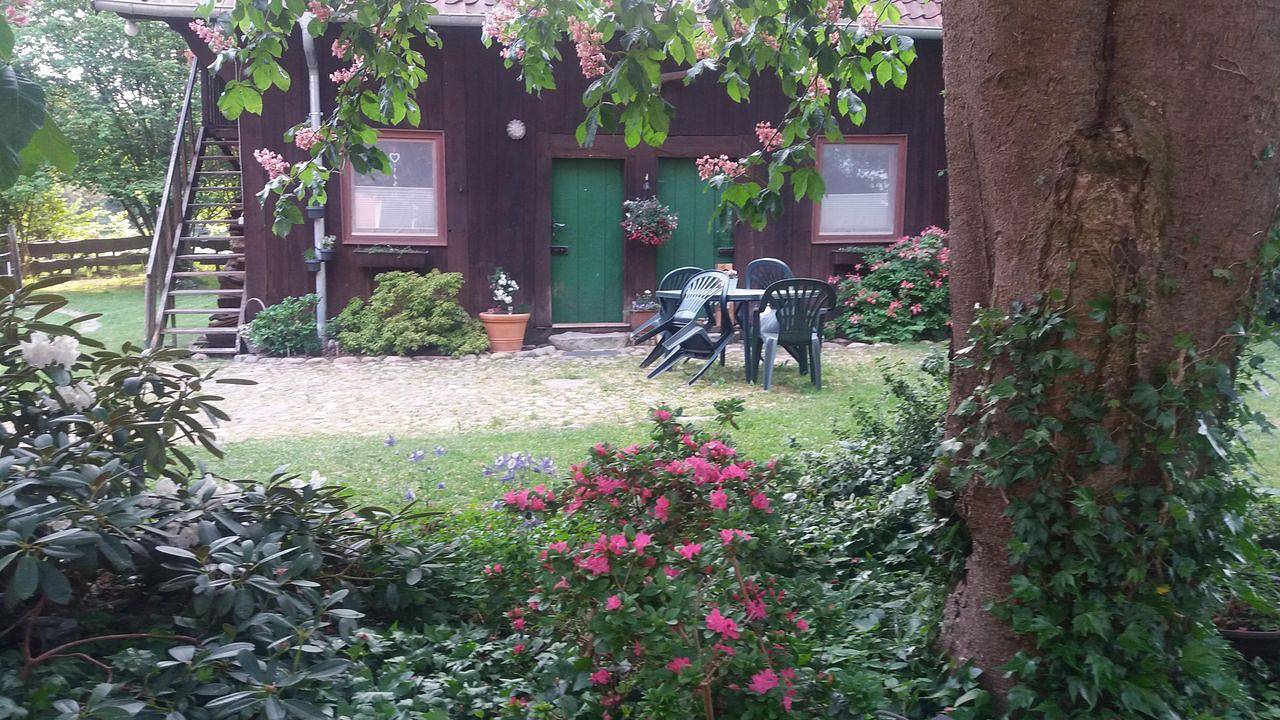 Vakantiehuis voor 4 personen met tuin in Wietzendorf, Landkreis Heidekreis