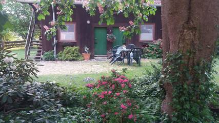 Ferienwohnung für 5 Personen in Wietzendorf, Landkreis Heidekreis, Bild 1