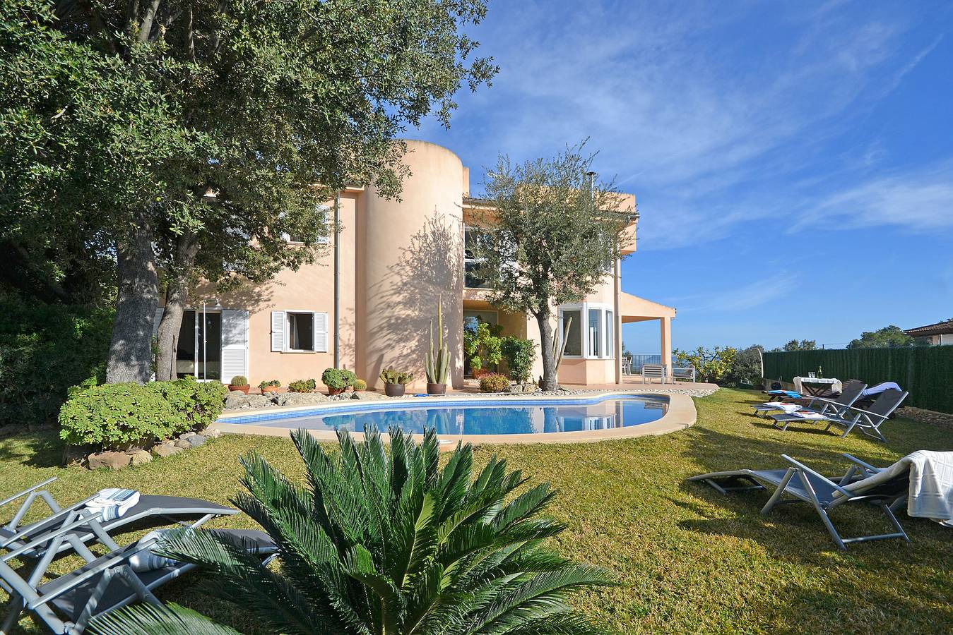 Cactus in Inca, Majorca Center