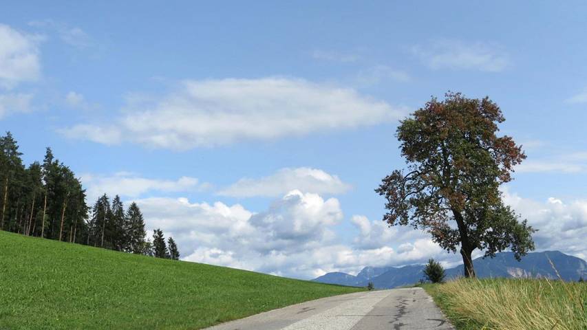Ferienwohnung für 5 Personen, mit Garten in Klagenfurt-Land - 2