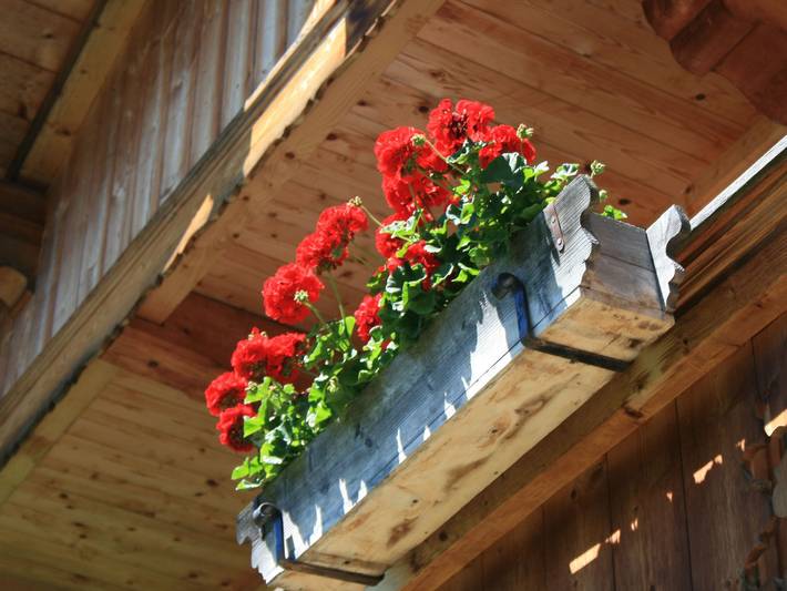 Ferienwohnung für 2 Personen, mit Balkon, kinderfreundlich in Rottach-Egern - 3