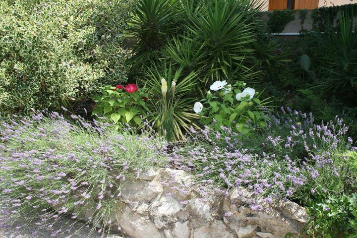 Location de vacances pour 2 personnes, avec jardin ainsi que vue et piscine à Cabrières (Gard) - 3