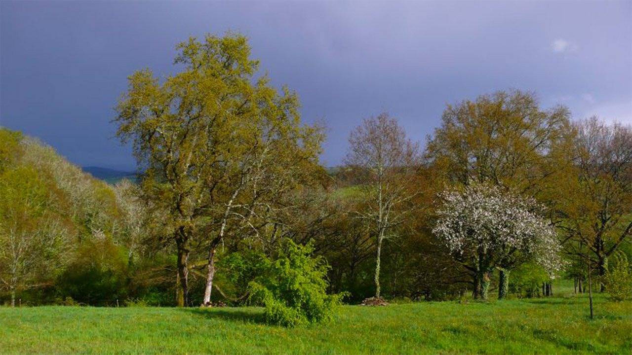 Situation idéale pour visiter le Périgord in Bars, Périgord Noir