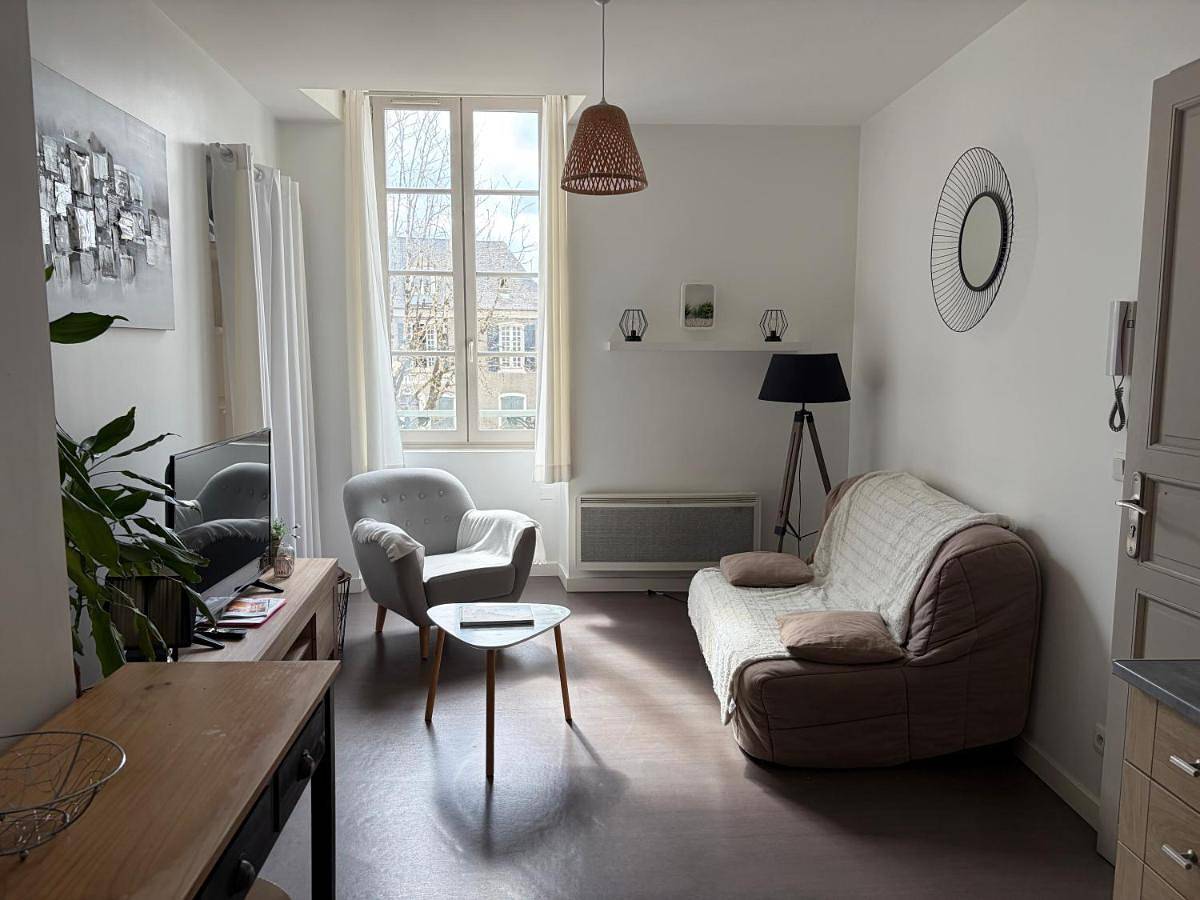Appartement entier, Centre Pau proche Chateau et gare 33 m2 in Pau, Béarn