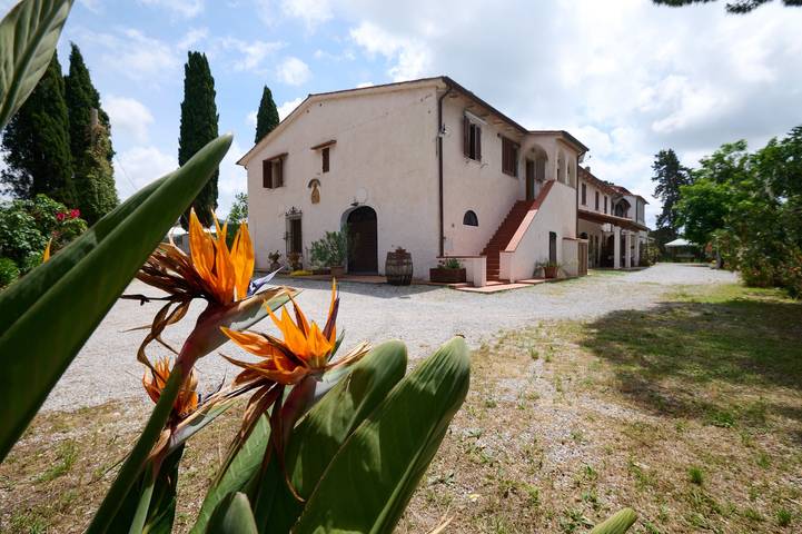 Agriturismo "Antichi Palmenti - Ginepro" con Giardino in comune e A/C in San Vincenzo, Costa degli Etruschi