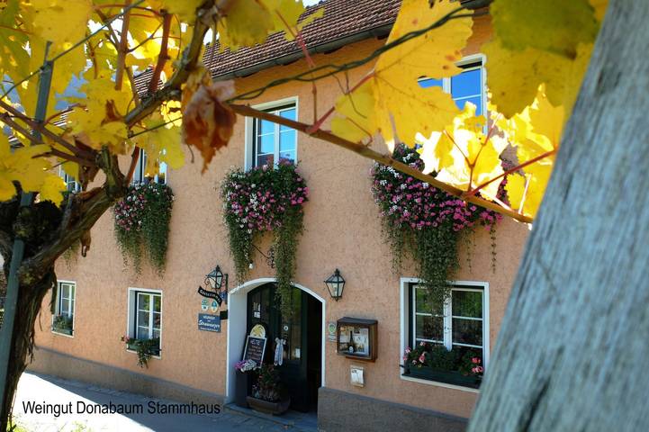 Ferienwohnung für 3 Personen, mit Garten und Pool sowie Sauna und Balkon
