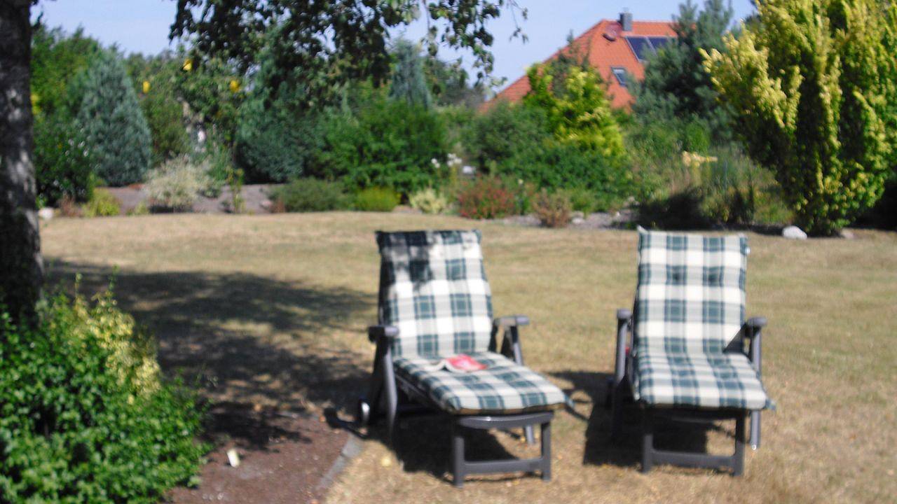 Ferienhaus für 5 Personen (100 m²) in Neuenkirchen in Neuenkirchen (Lüneburger Heide), Landkreis Heidekreis