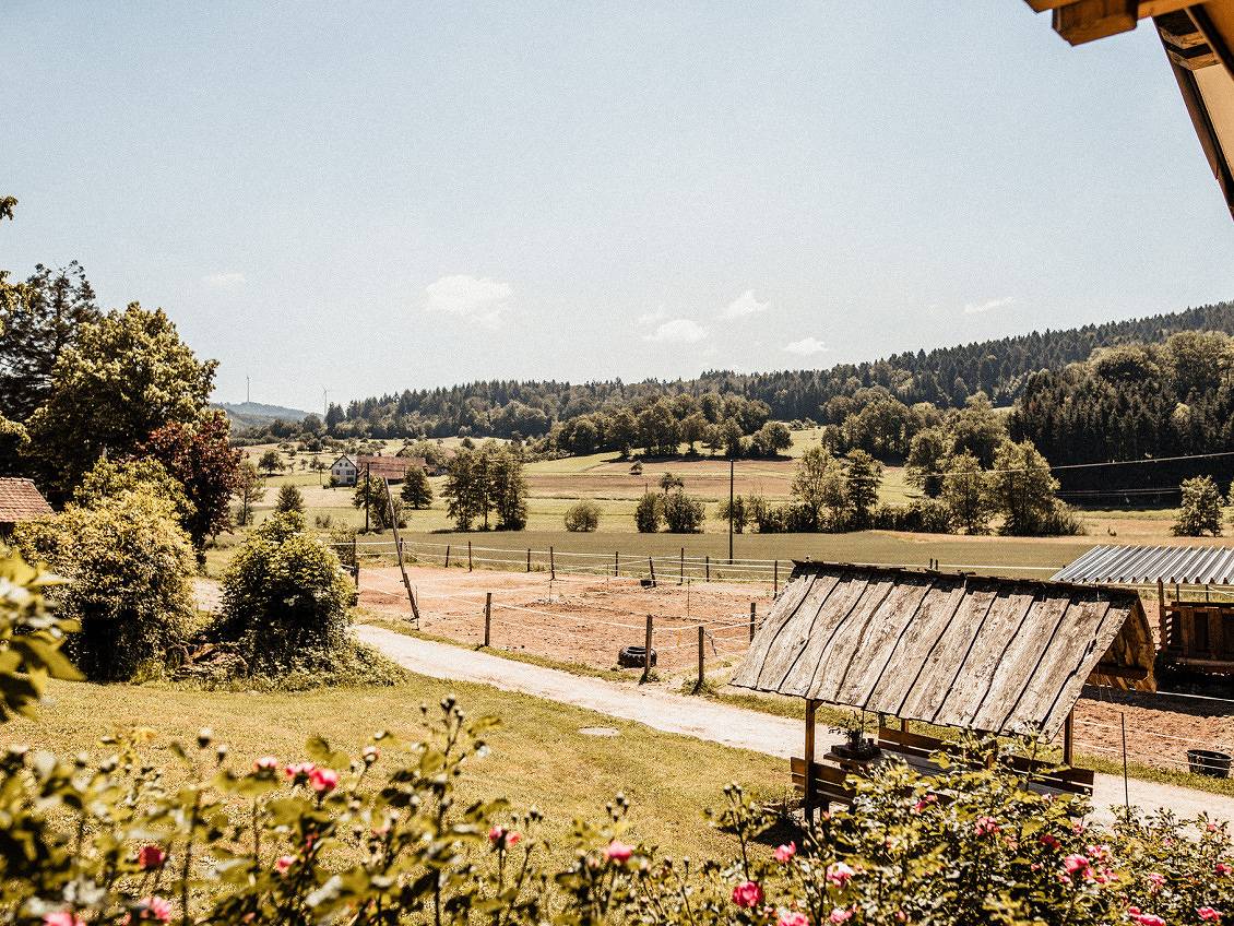 Ganze Ferienwohnung, Ferienwohnung Schwörerhof - Ferienwohnung Bergblick, 93qm, 3 Schlafzimmer, 2 Badezimmer, max.7 Personen in Seelbach, Mittlerer Schwarzwald