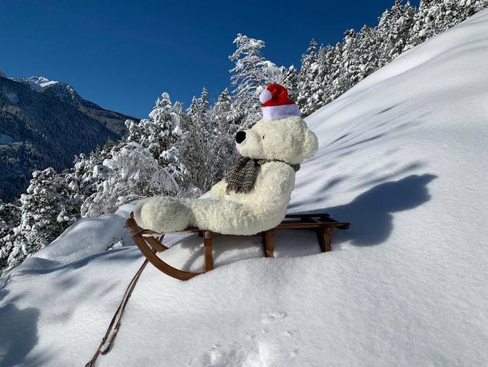 Gîte pour 4 personnes, avec vue et jardin, animaux acceptés à Sainte-Foy-Tarentaise - 4