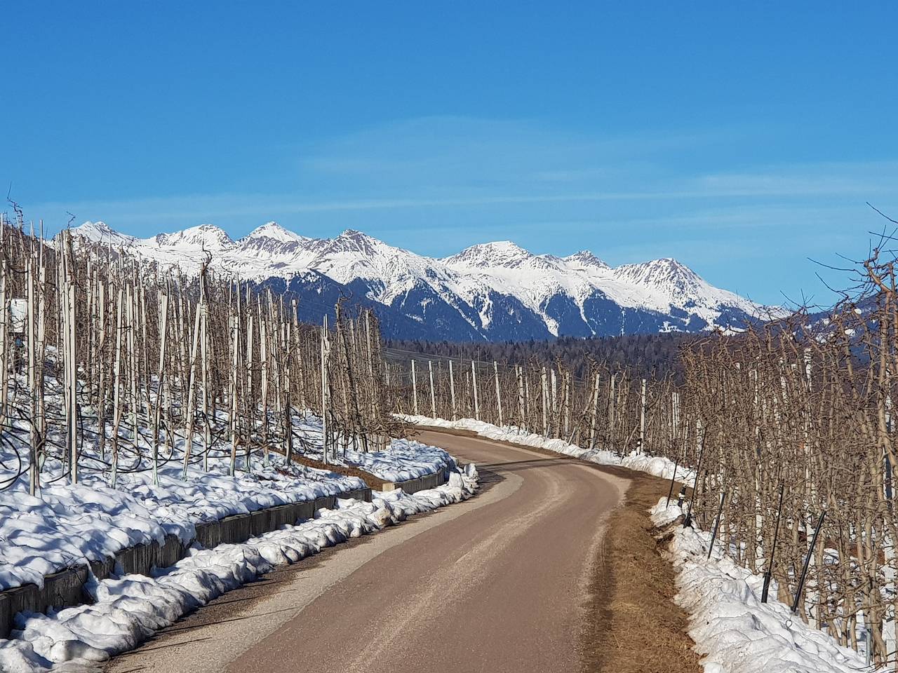 Appartamento intero, Appartamento 'Canyon' con vista sulle montagne, adatto per animali domestici in Tassullo, Ville d'Anaunia