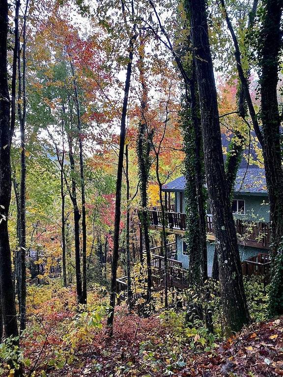 Log cabin for 10 people, with balcony and pool in Chattahoochee National Forest