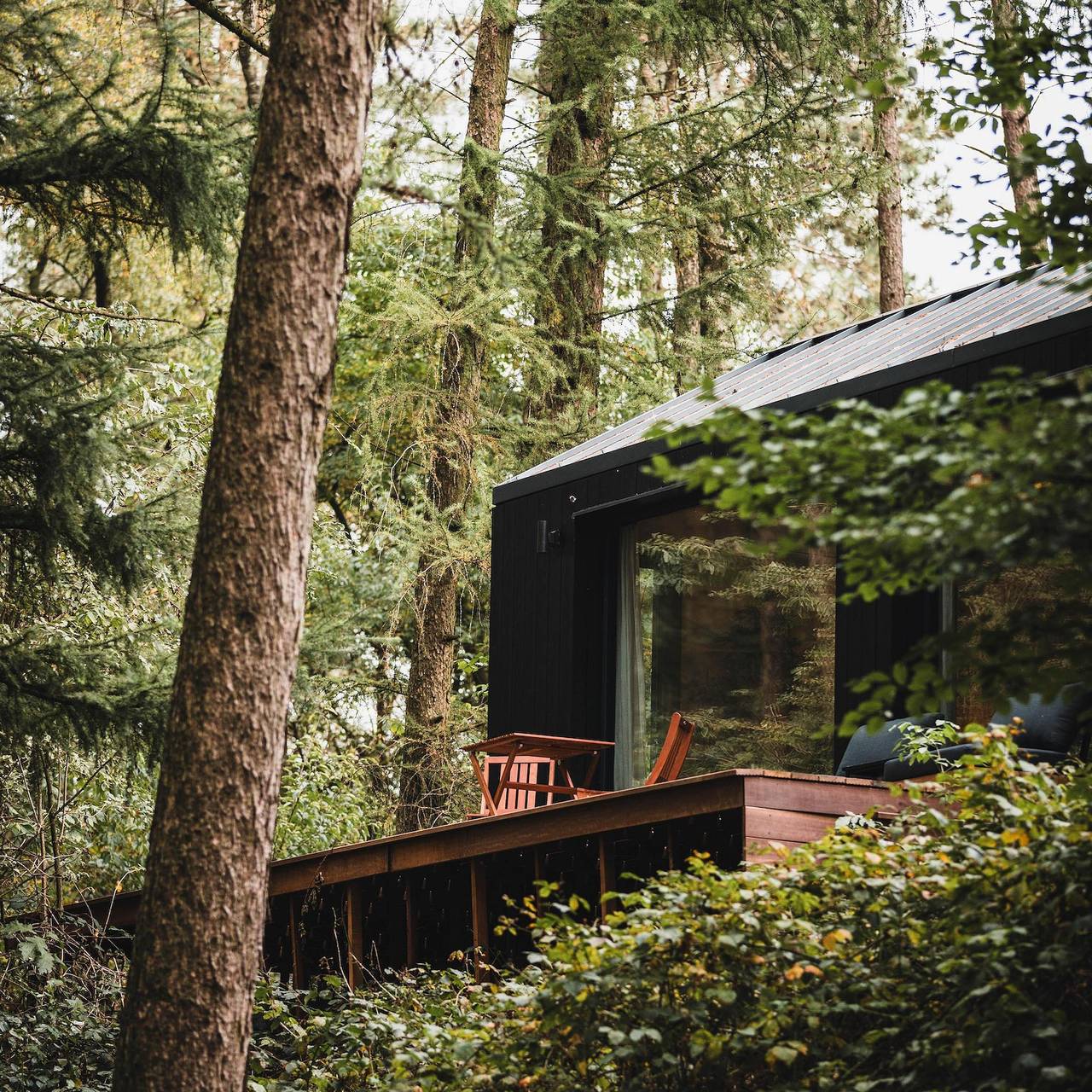 Wb Resort Gmbh — Koya Tiny Cabin | 2 Pers.  in Wilsum, Landkreis Grafschaft Bentheim