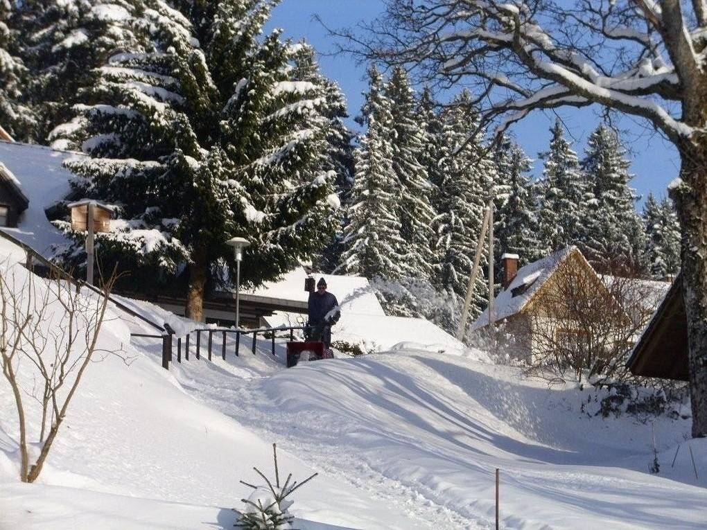 Ferienhaus Elfi in Eisenbach, Südschwarzwald