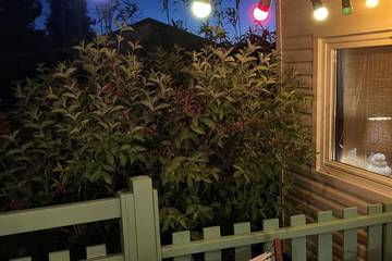 Camping pour 6 personnes, avec jardin ainsi que terrasse et piscine, animaux acceptés dans le Golfe du Morbihan