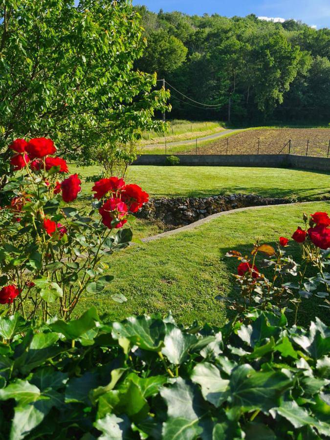 Location de vacances pour 6 personnes, avec terrasse à Estadens - 3
