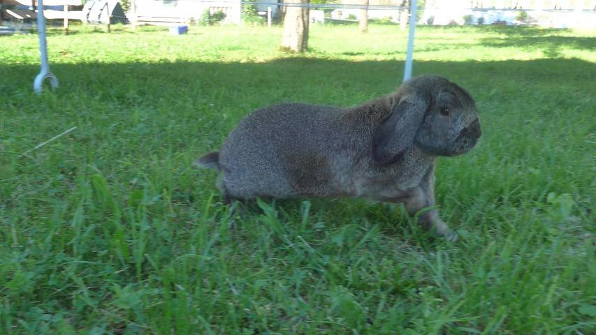 Ferienwohnung für 4 Personen, mit Garten in Lenggries - 4