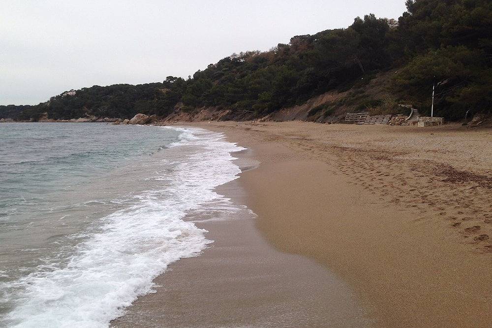 Ganze Wohnung, Studio almost in a tree in Le Pradet, Toulon Region