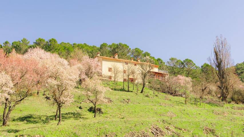Casa rural para 4 personas, con jardín - 1