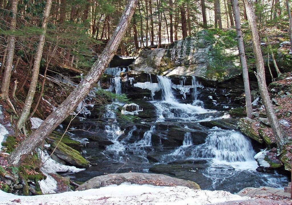 2Br Callicoon House auf dem Delaware River! in Sullivan County