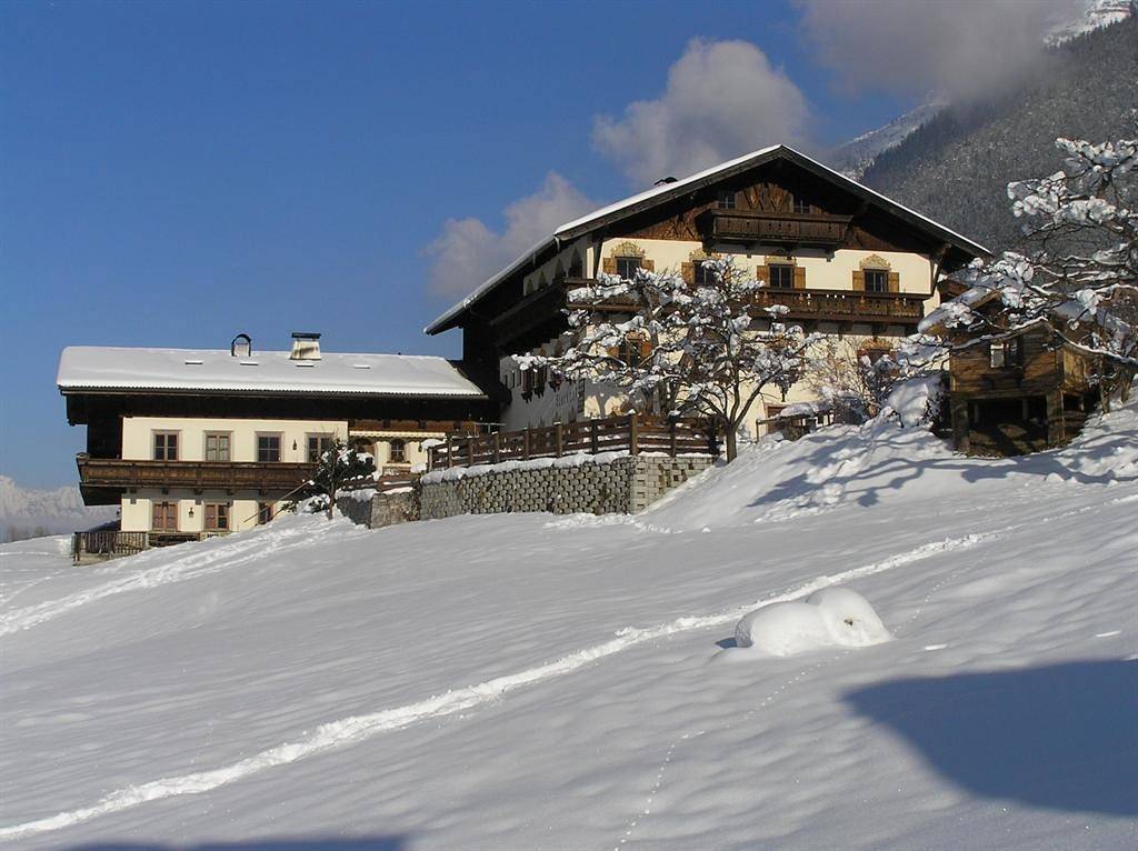 Ganze Ferienwohnung, Appartement/Fewo, Elferblick in Stubaier Alpen, Neder