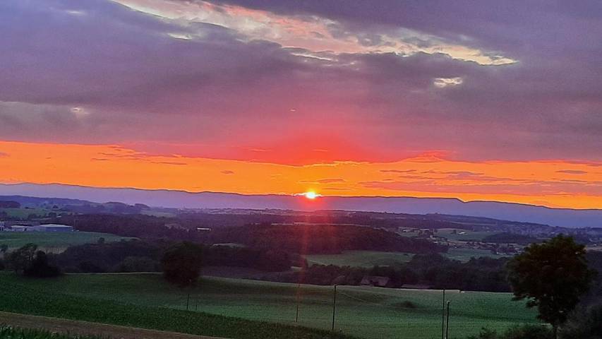 Chambre d’hôte pour 2 personnes, avec vue ainsi que jardin et terrasse dans Canton de Fribourg - 4