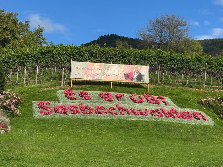 Ferienwohnung für 3 Personen, mit Garten und Sauna, mit Haustier in Sasbachwalden - 2