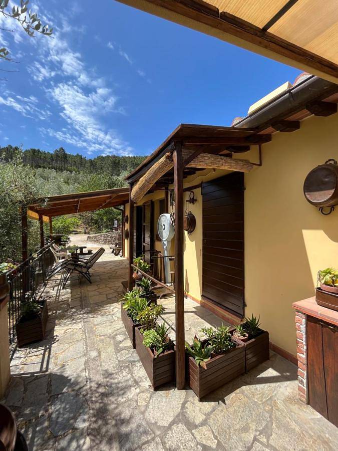 Agriturismo Campo dei Lupi in Vicopisano, Pisa Provinz