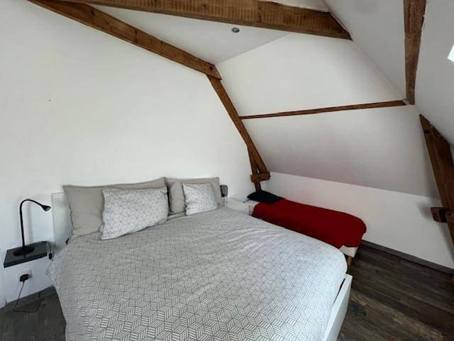 Gîte pour 5 personnes, avec jardin et terrasse, animaux acceptés à Loches - 3