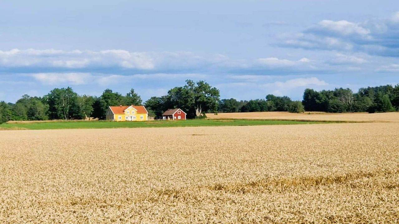 Ferienhaus für 6 Personen (150 m²) in Ödeshög in Ödeshög, Vättern