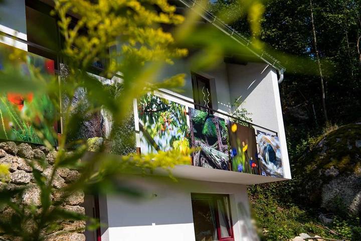 Ganze Wohnung, Urlaubsreich in Bezirk Zwettl