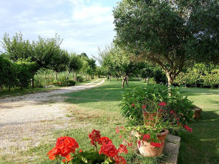 Gîte pour 5 personnes, avec jardin à Corinaldo - 4