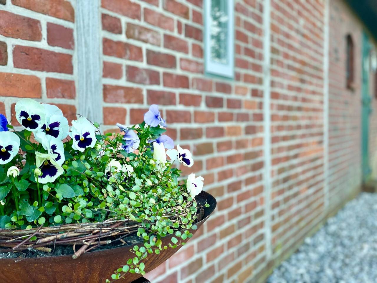 Reetdachhaus für erholsamen Familienurlaub in Norderfriedrichskoog, Eiderstedt