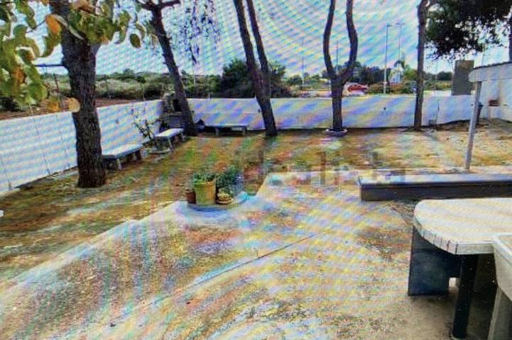 Ferienhaus für 15 Personen, mit Garten in Specchiarica - 4