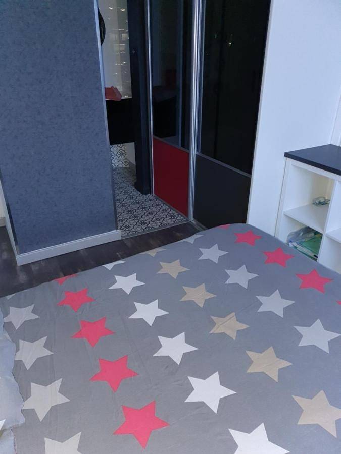 Location de vacances pour 2 personnes, avec terrasse et jardin à Guipavas - 4