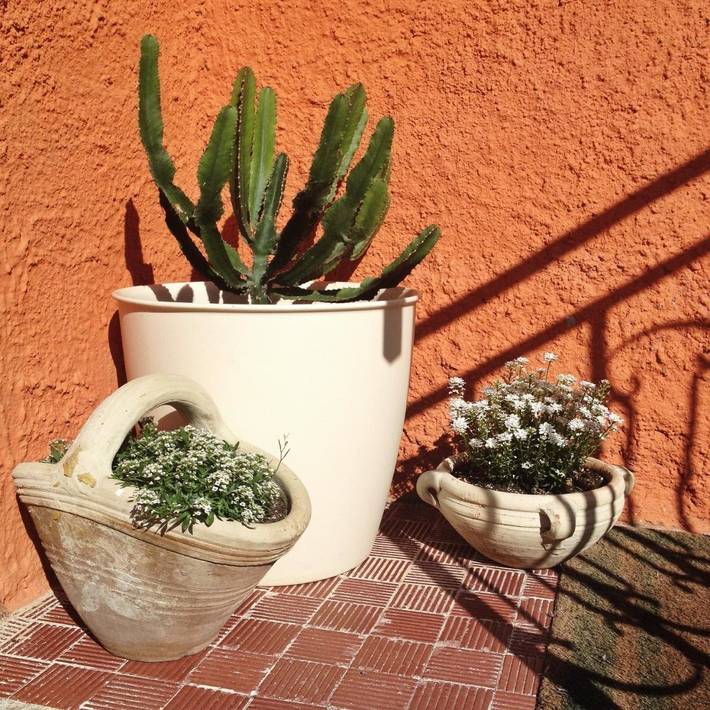 Location de vacances pour 2 personnes, avec vue, animaux acceptés à Sorso - 3