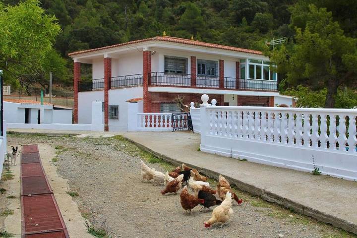 Casa rural para 16 personas, con Balcón y Terraza además de Piscina y Vistas en Viver - 4