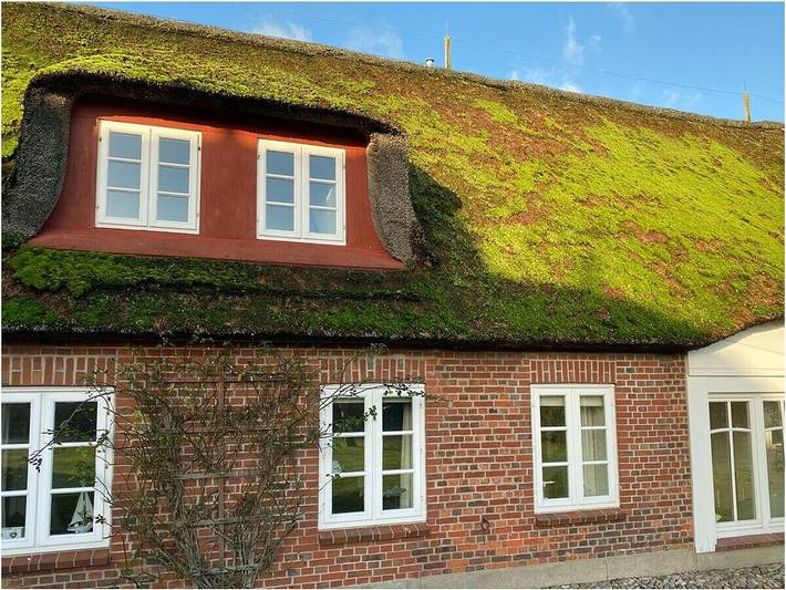 Ferienwohnung mit 1 Schlafzimmer in Nordfriesische Inseln (Schleswig-Holstein) (Schleswig-Holstein), Utersum