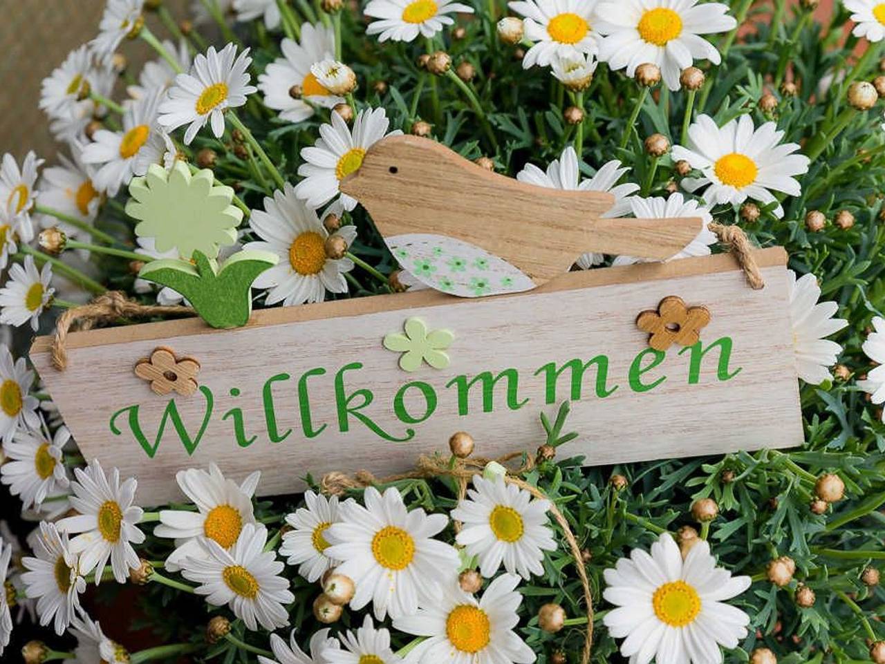 Ganze Ferienwohnung, Haus Ohnemus Fam. Späth - Ferienwohnung 120 qm, 3 Schlafräume, max. 7 Personen in Europa-Park, Rust
