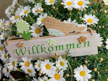 Ferienwohnung für 7 Personen in Europa-Park, Rust, Bild 1