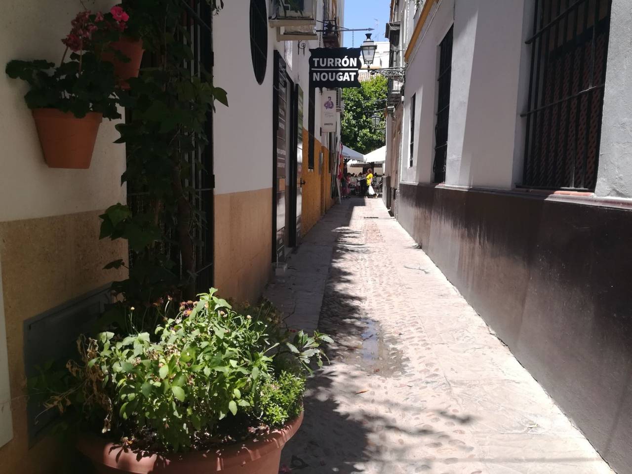 Apartamento entero, Apartamento Luminoso Santa Cruz, Se Admiten Mascotas, Aire Acondicionado in Casco Antiguo, Sevilla