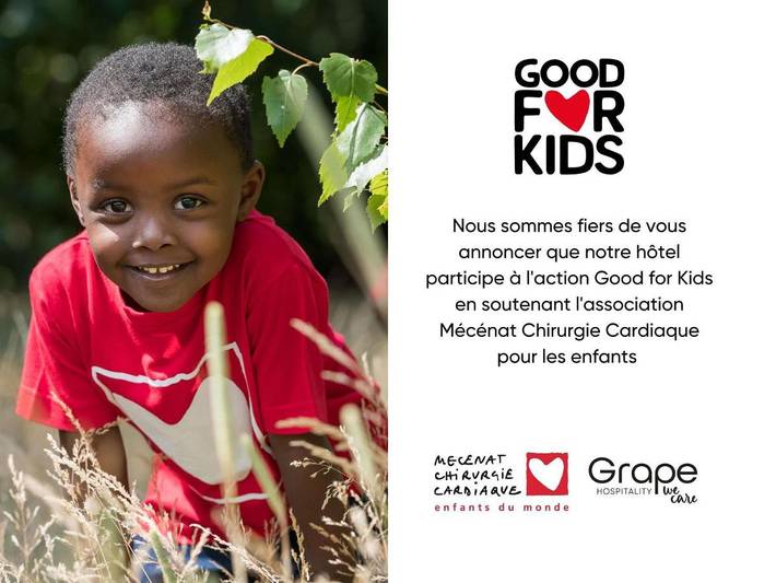 Hôtel pour 4 personnes, avec piscine et jardin, animaux acceptés à Bron - 4