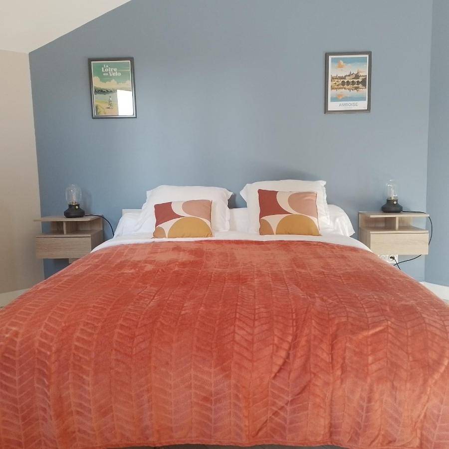 Double Room with Private Bathroom in Amboise, Région de Tours