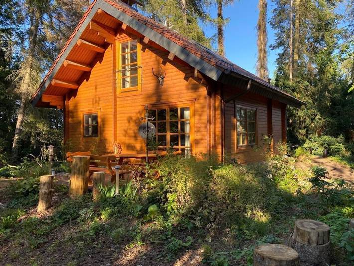 Ferienhaus für 6 Personen, mit Terrasse und Sauna in Lutherstadt Wittenberg und Umgebung