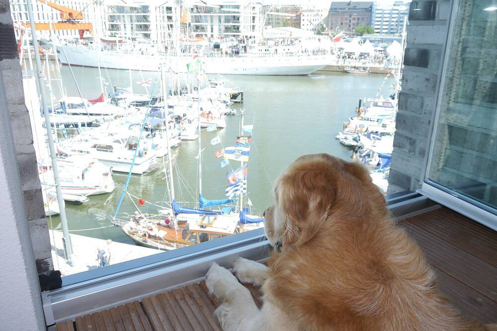 Ganze Wohnung, Herrliche Aussichten, wunderbare u. direkte Wasserlage inmitten der Havenwelten! in Bremerhaven-Mitte, Bremerhaven