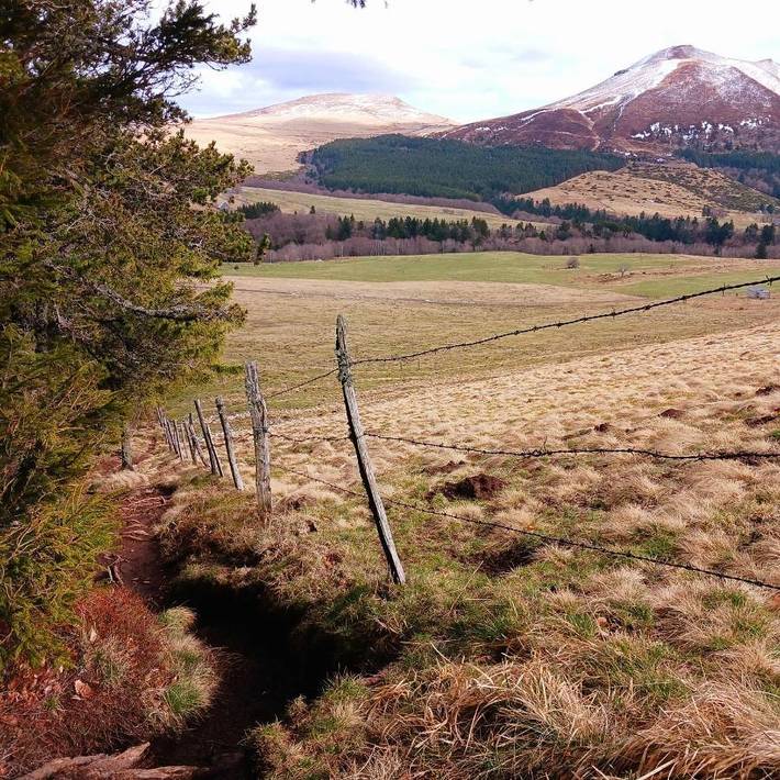 Gîte pour 3 personnes, avec balcon et vue à Orcival (Puy-de-Dôme) - 4