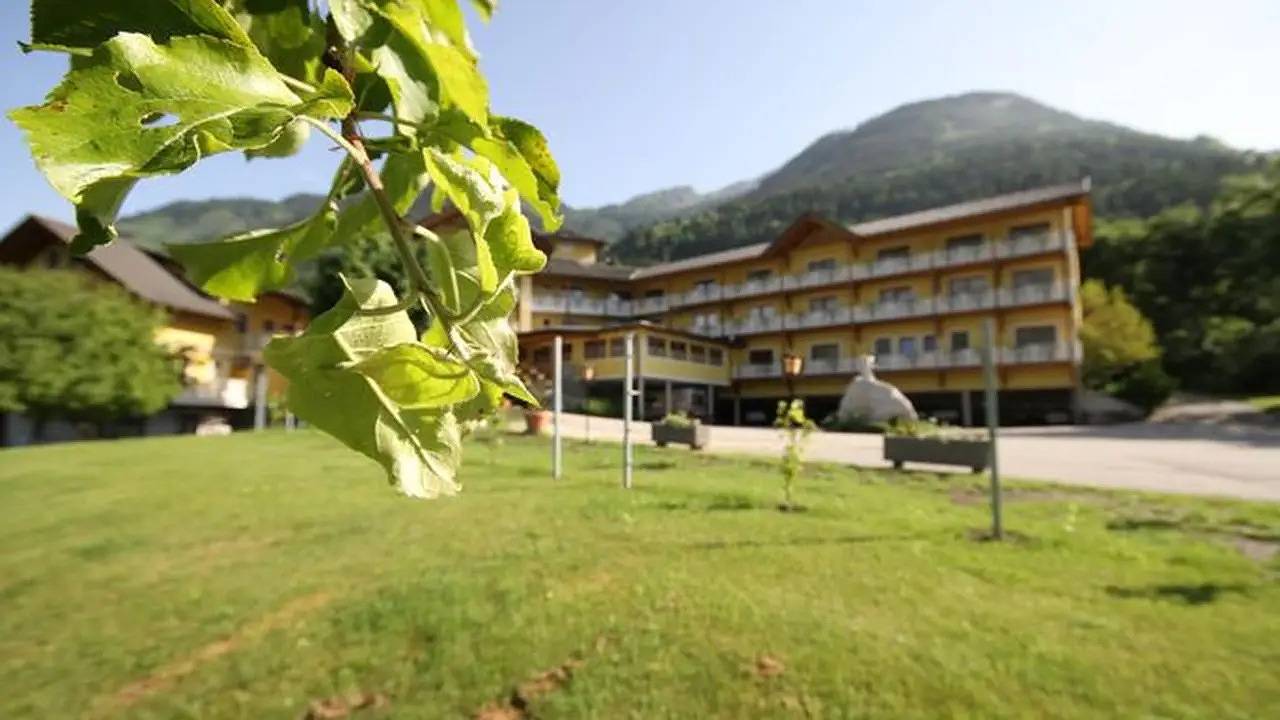 Einzelzimmer für 1 Person (20 m²) in Obervellach in Obervellach, Lieser-Maltatal